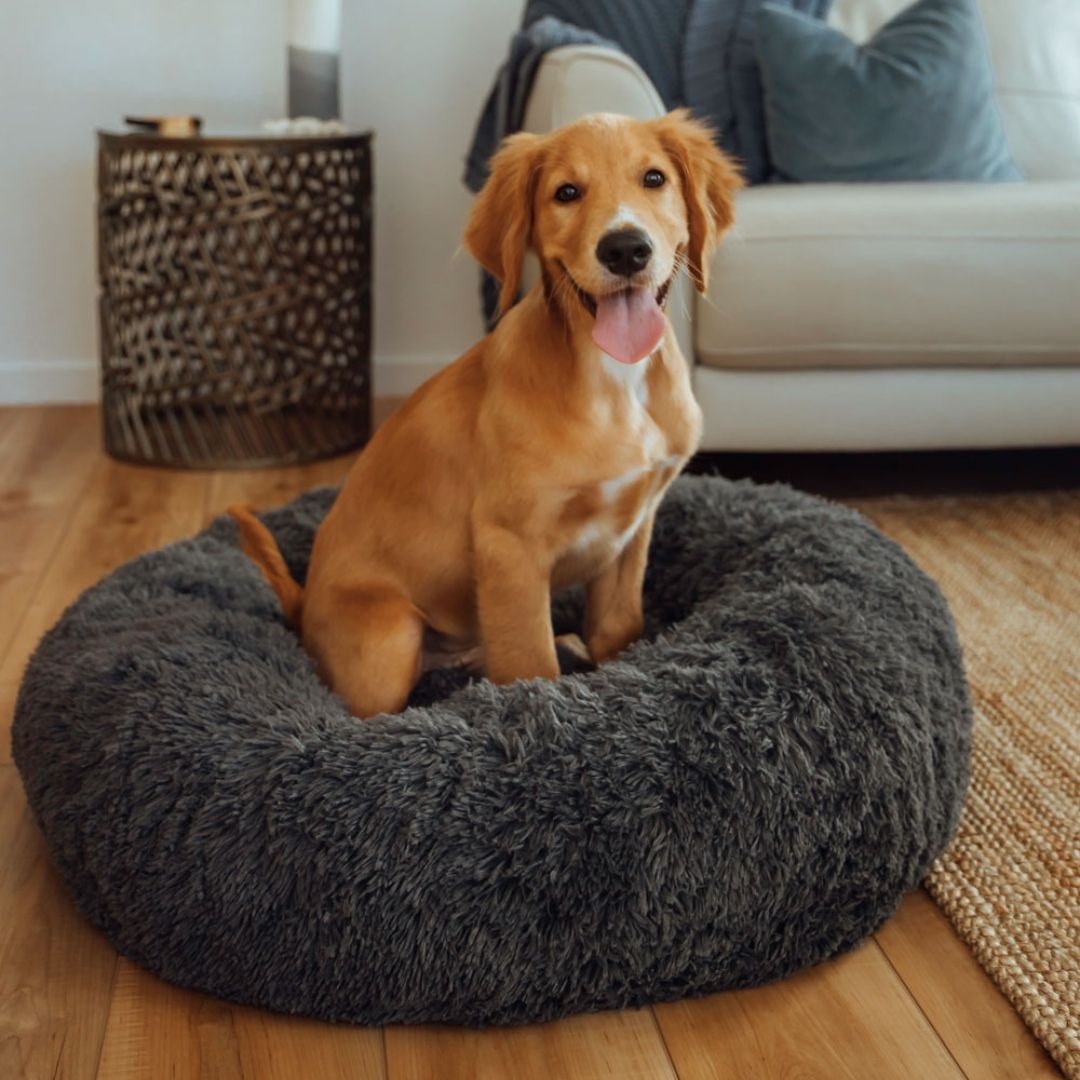 Calming Dog Bed