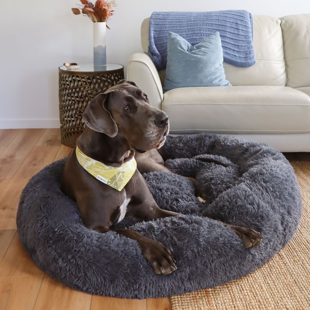 Calming Dog Bed