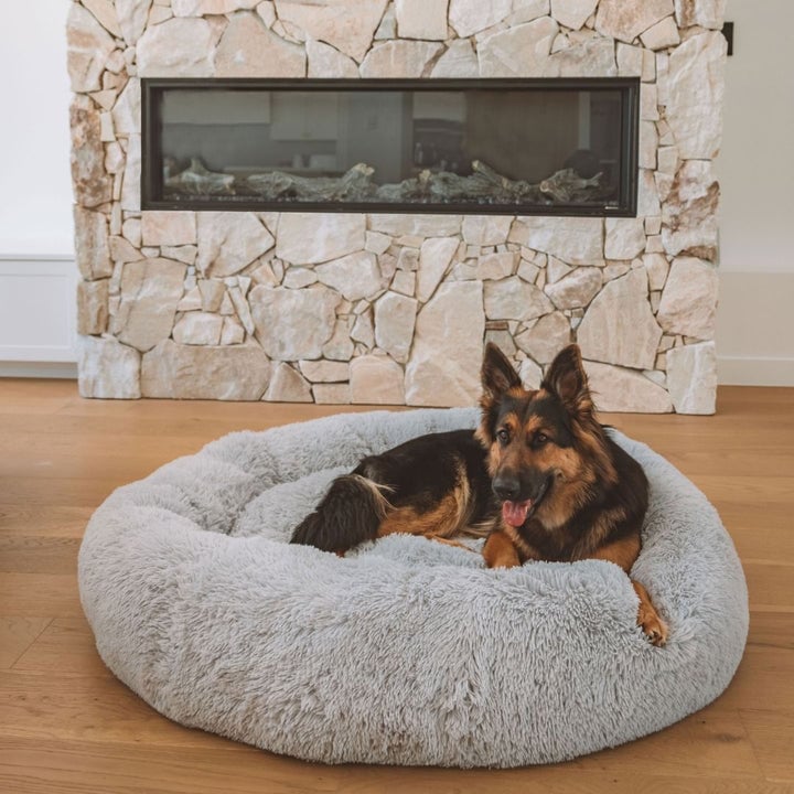 Calming Dog Bed