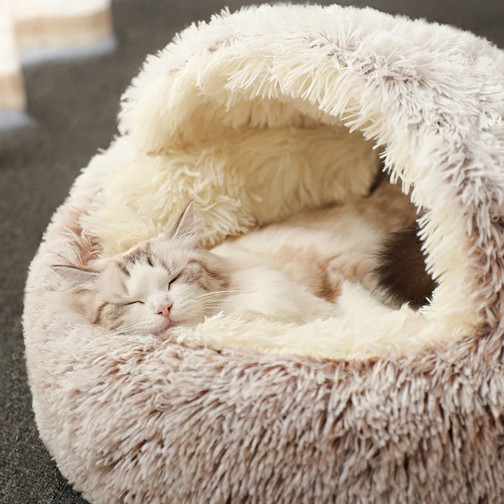 Calming Seashell Bed