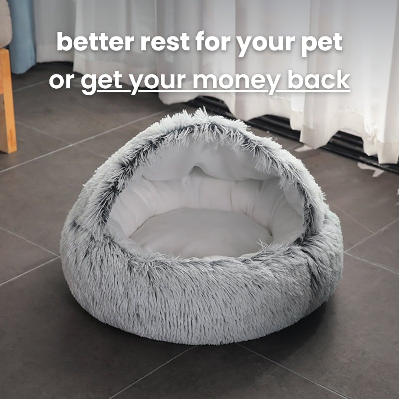 Cozycave Pet Bed