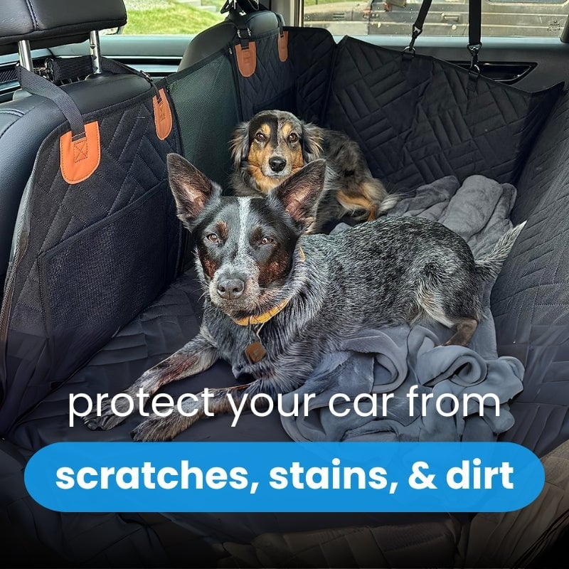 Dog Car Seat Liner