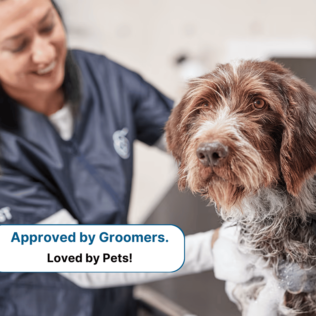 GroomPro - The #1 Pet Shedding Solution