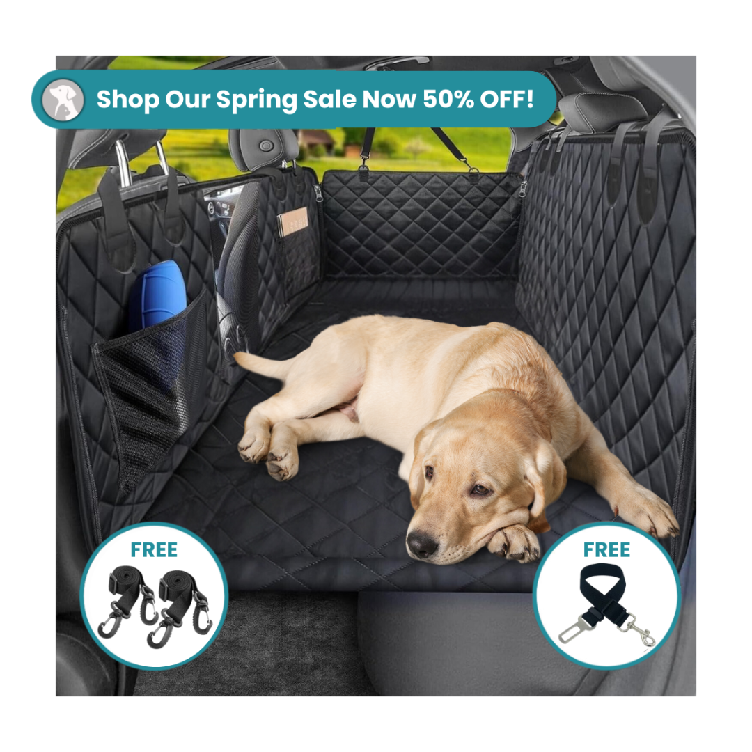 Hard Bottom Car Seat Cover - 50% OFF