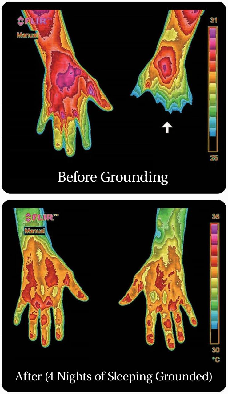 Organic Grounding Sheet