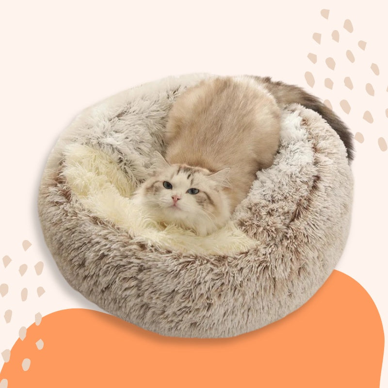 Pet Seashell Bed