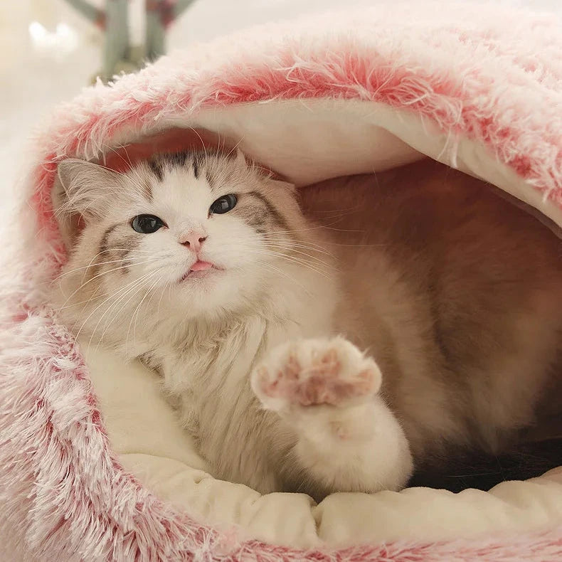 Pet Seashell Bed