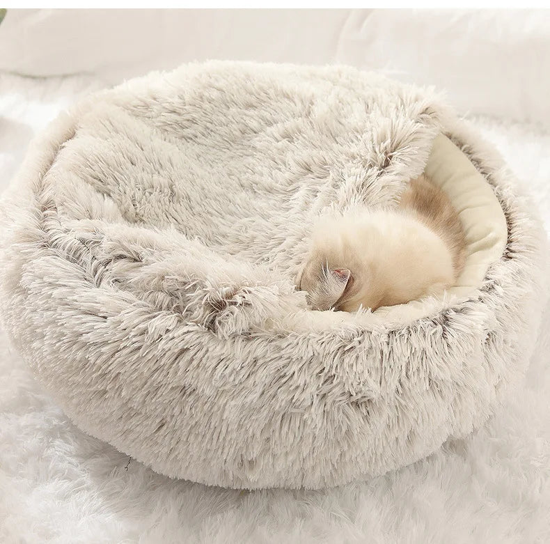 Pet Seashell Bed