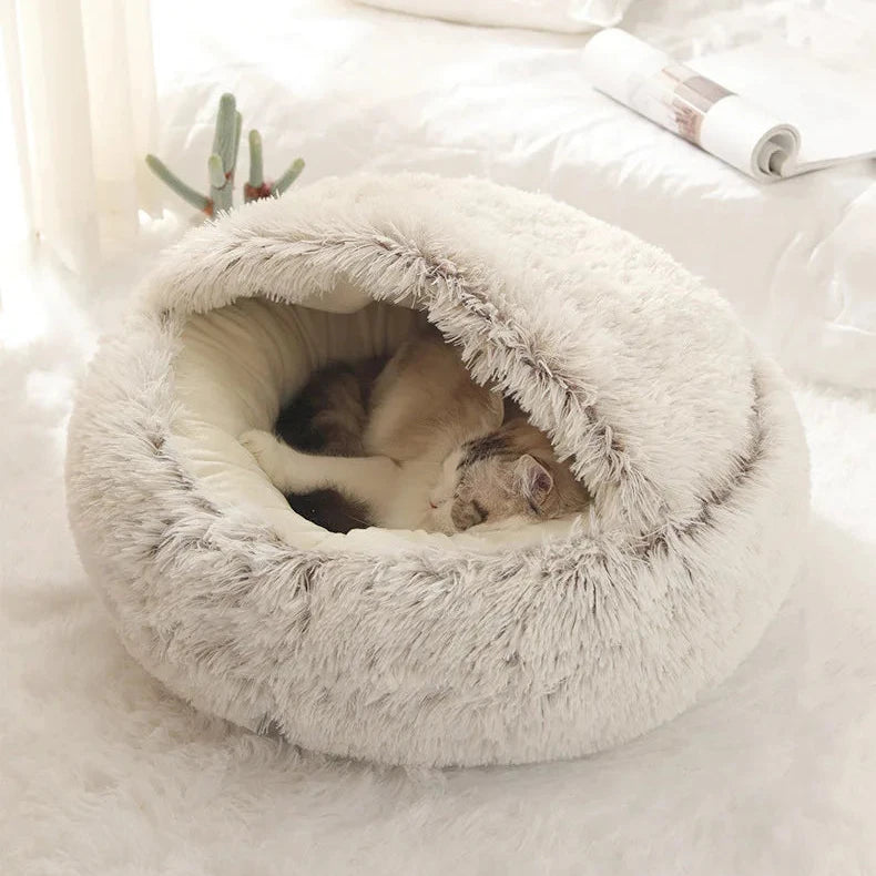 Pet Seashell Bed