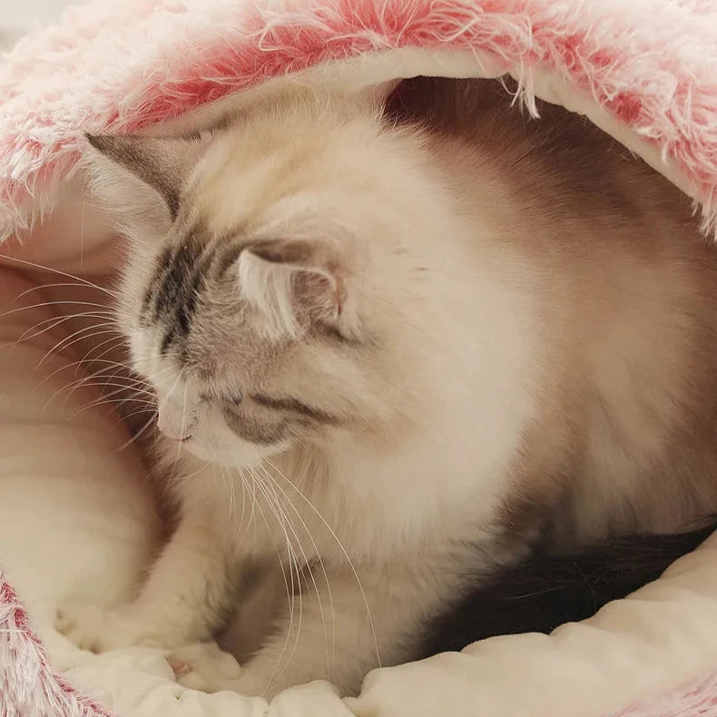 Pet Seashell Bed