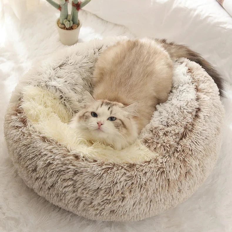 Pet Seashell Bed