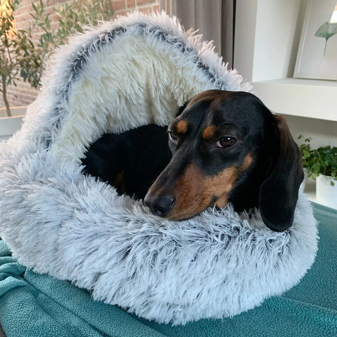 Plush Fluffy Pet Round Bed