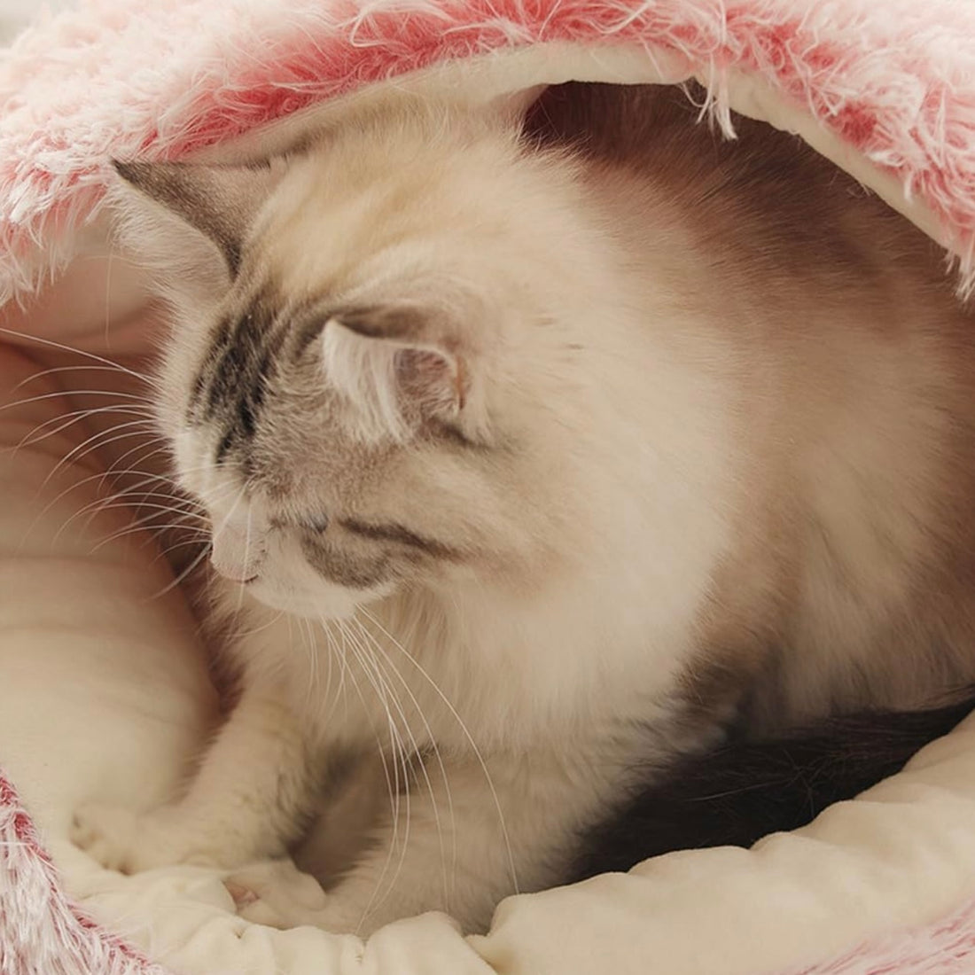 PurrSnugs Calming CozyCave
