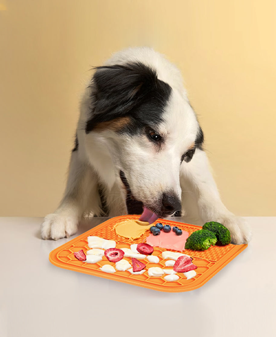 Slow Eating Dog Pad