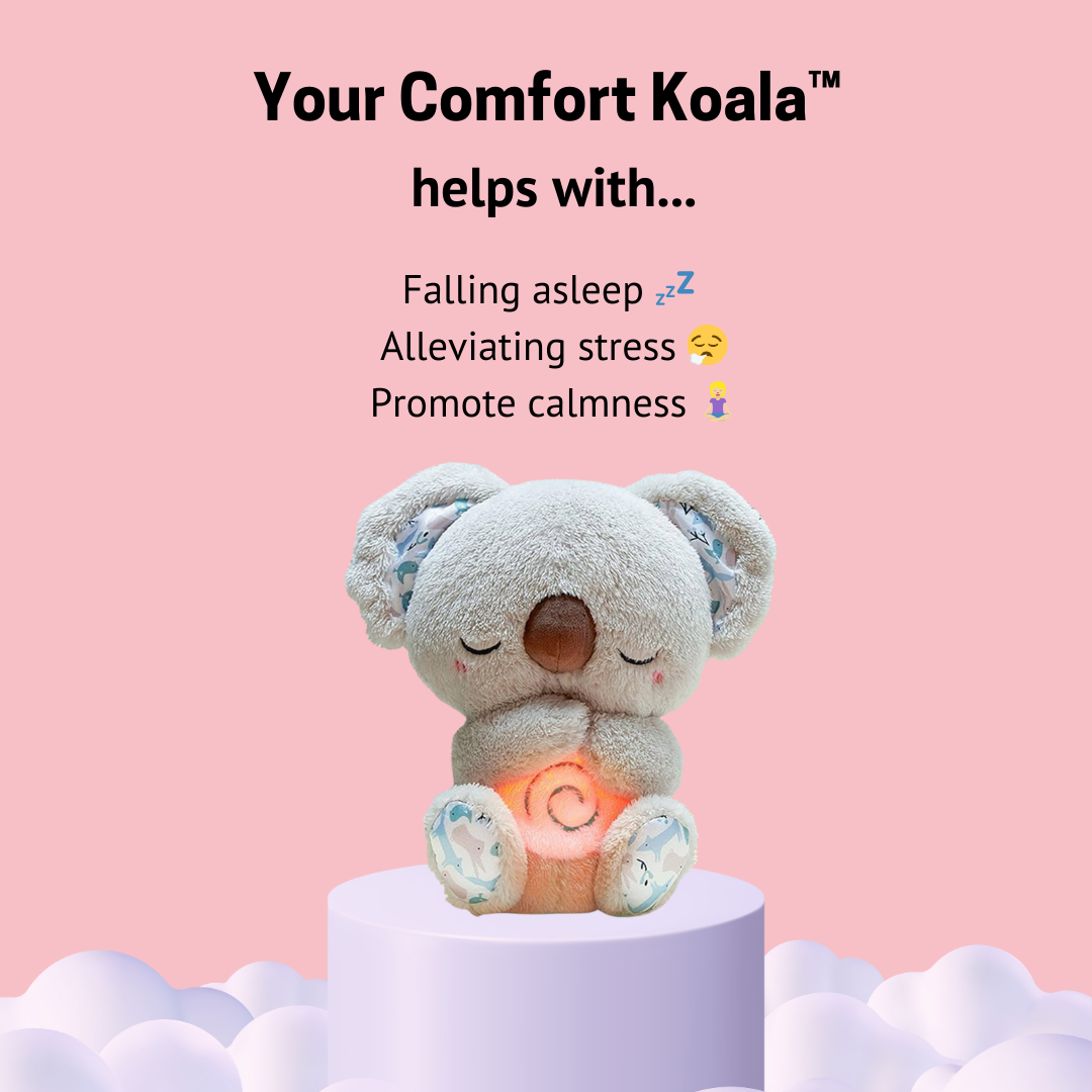 The Comfort Koala