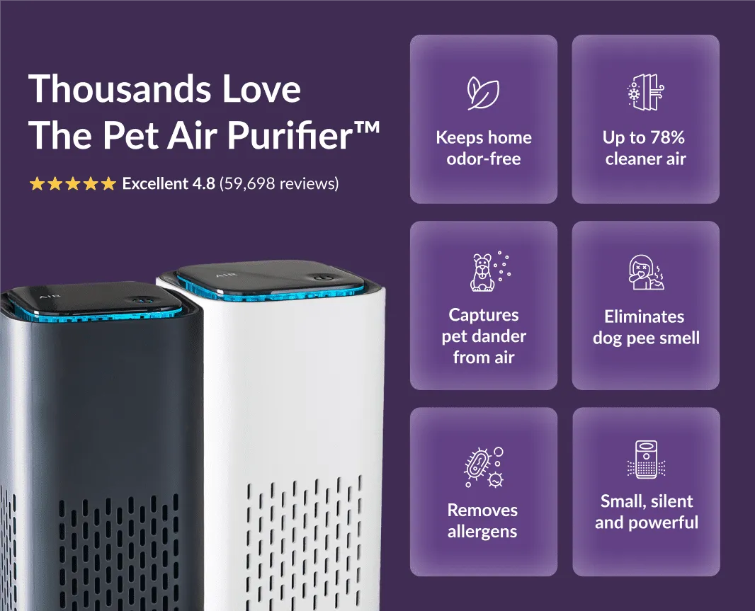 The Pet Air Purifier