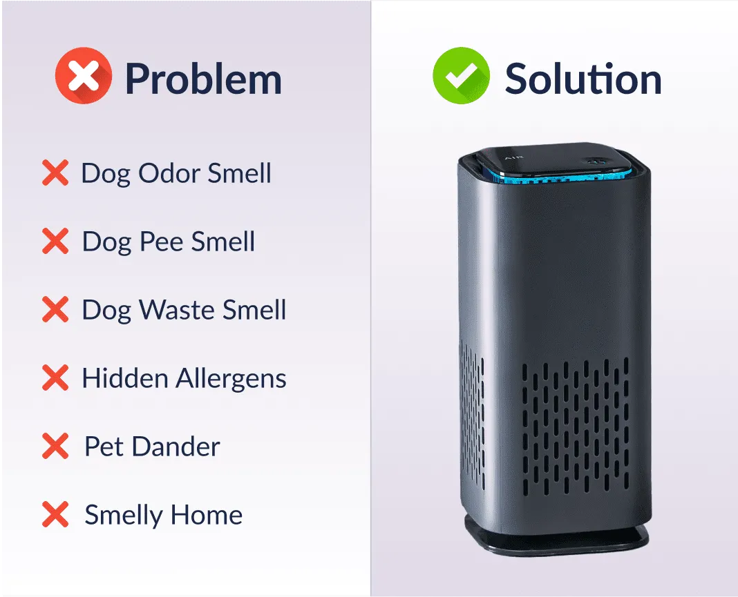 The Pet Air Purifier