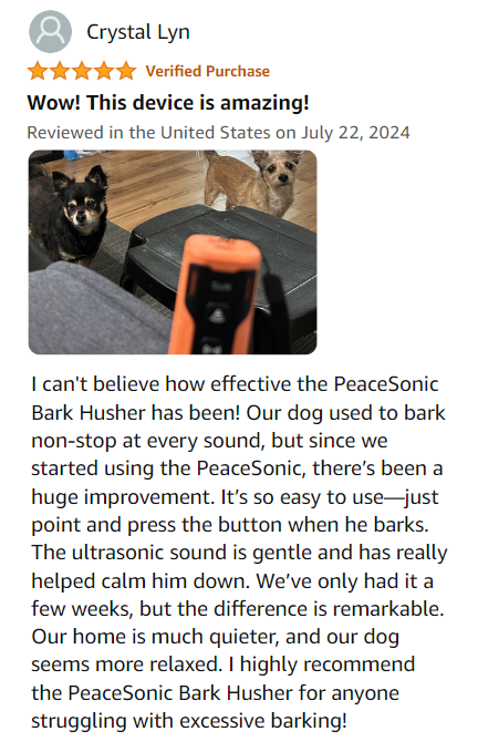 Bark Husher Ultrasonic Dog Training