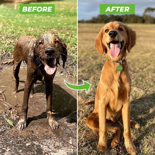 Dog Washer Attachment