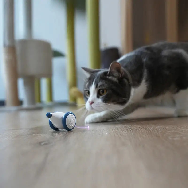 FUREVER PET Auto-Mouse AI Cat Toy