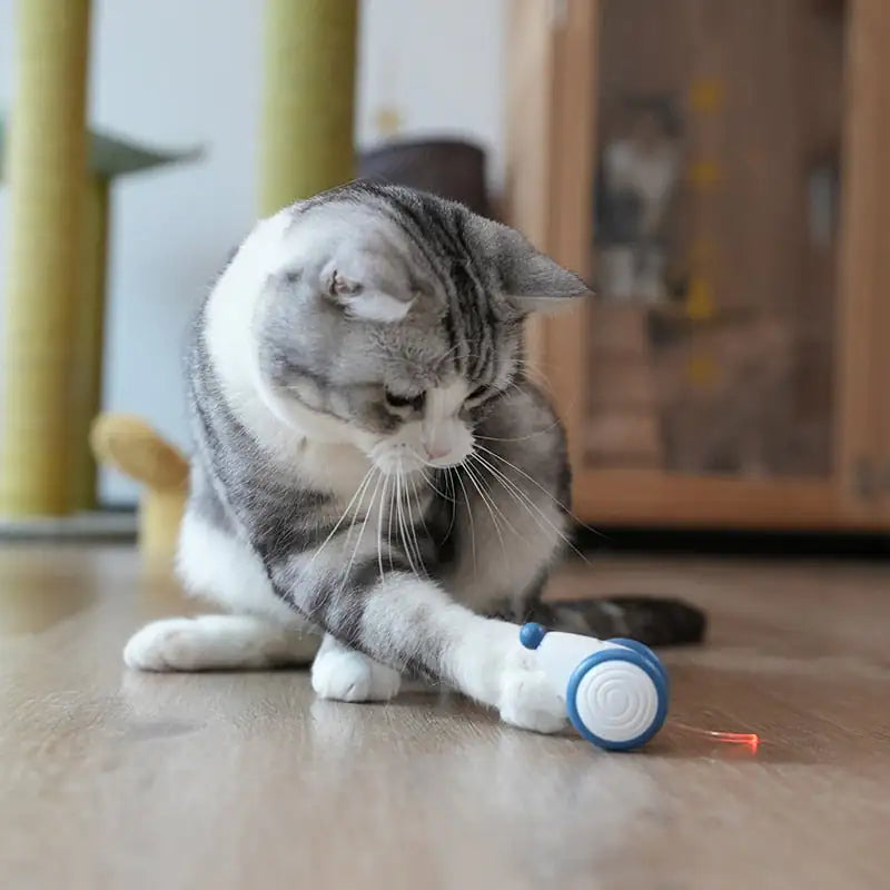 FUREVER PET Auto-Mouse AI Cat Toy