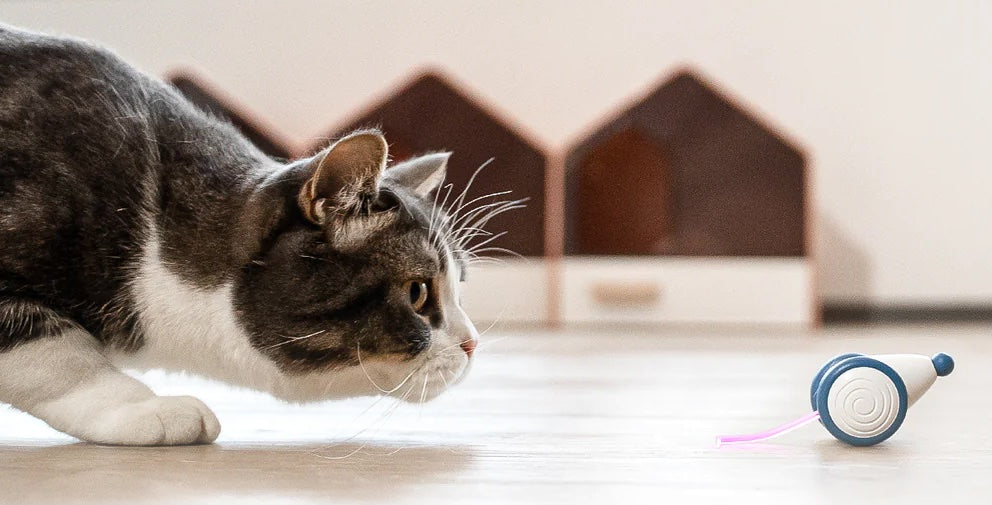 FUREVER PET™ Auto-Mouse AI Cat Toy