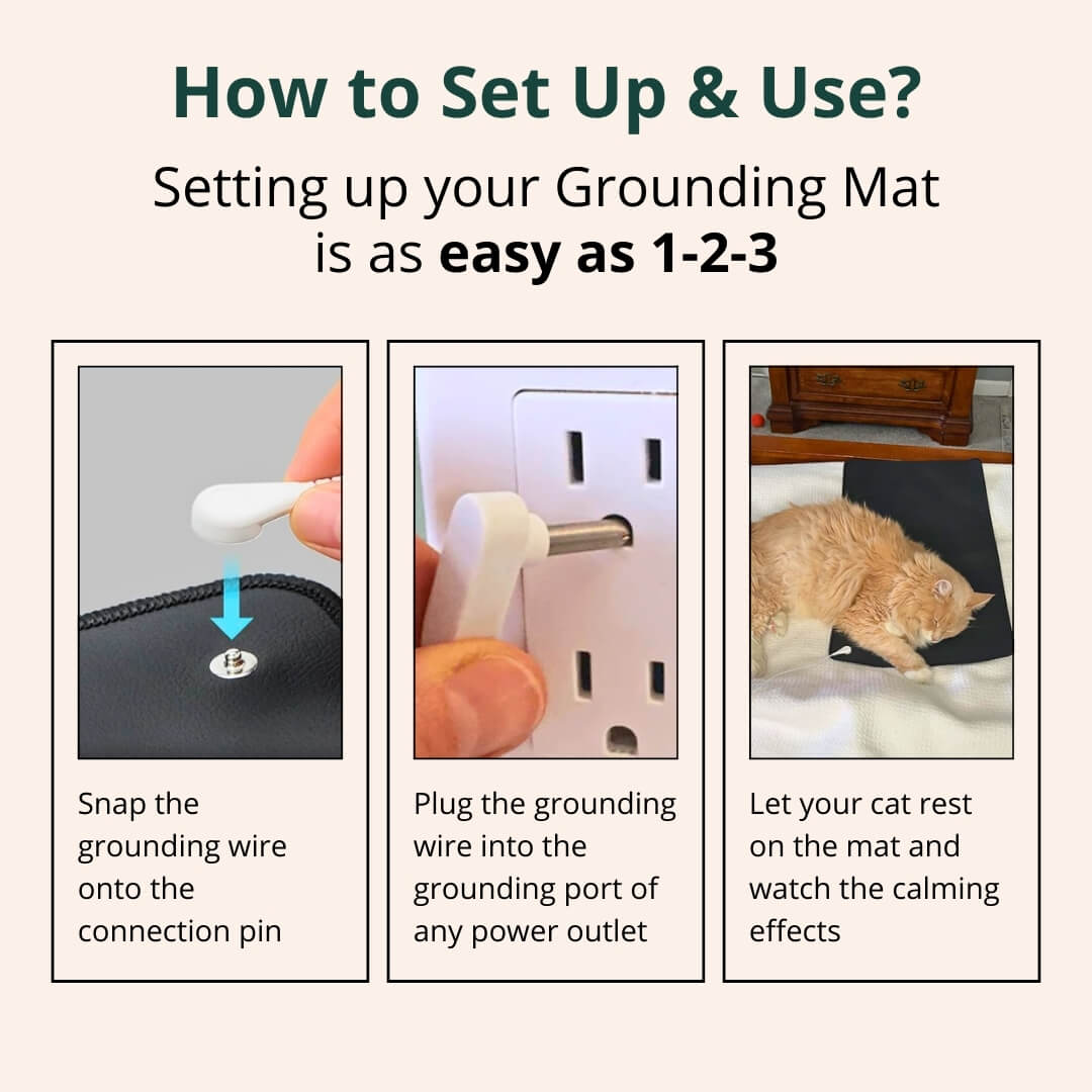 GroundPaws Mat