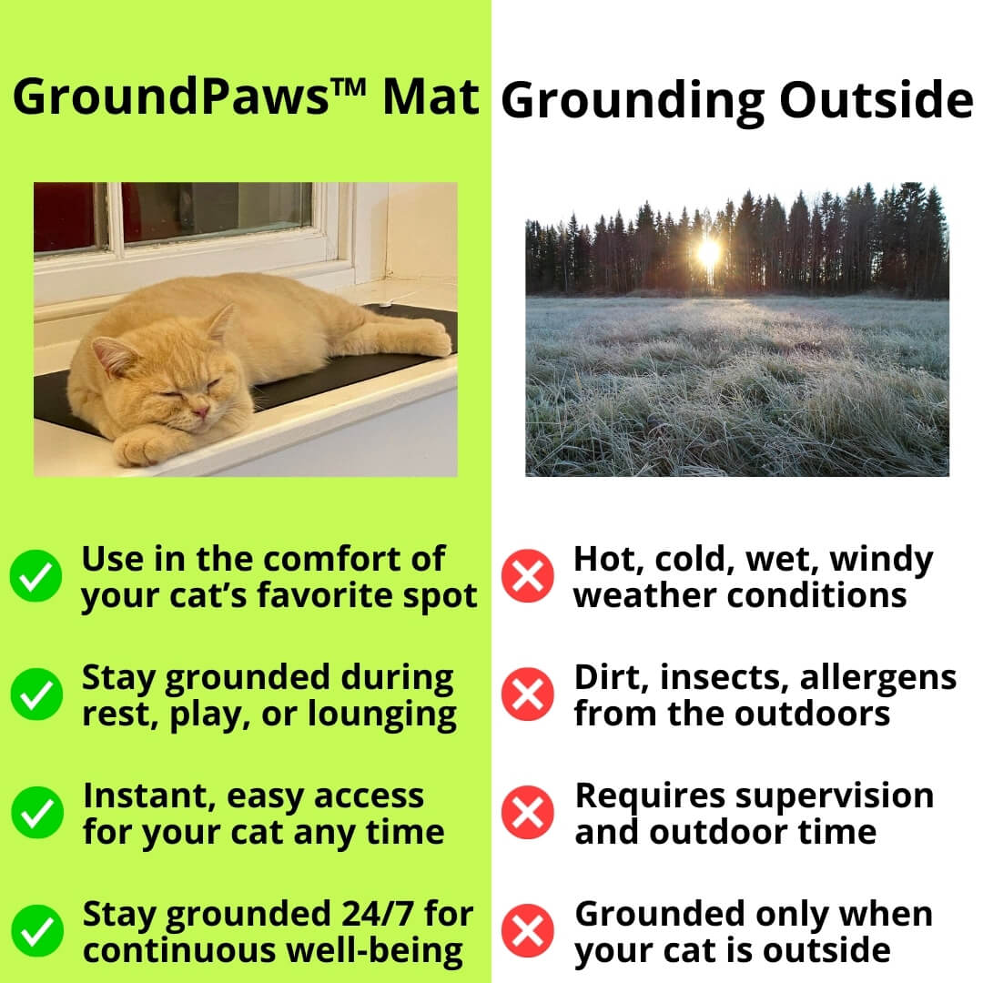 GroundPaws Mat