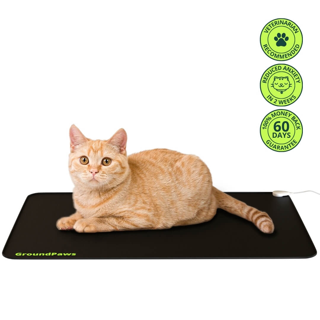 GroundPaws Mat