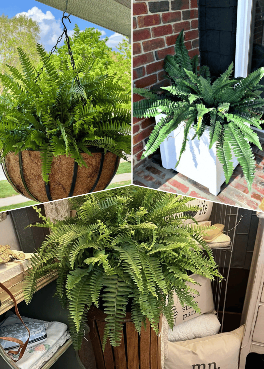 Last Day 70% OFF- Real Touch Boston Fern