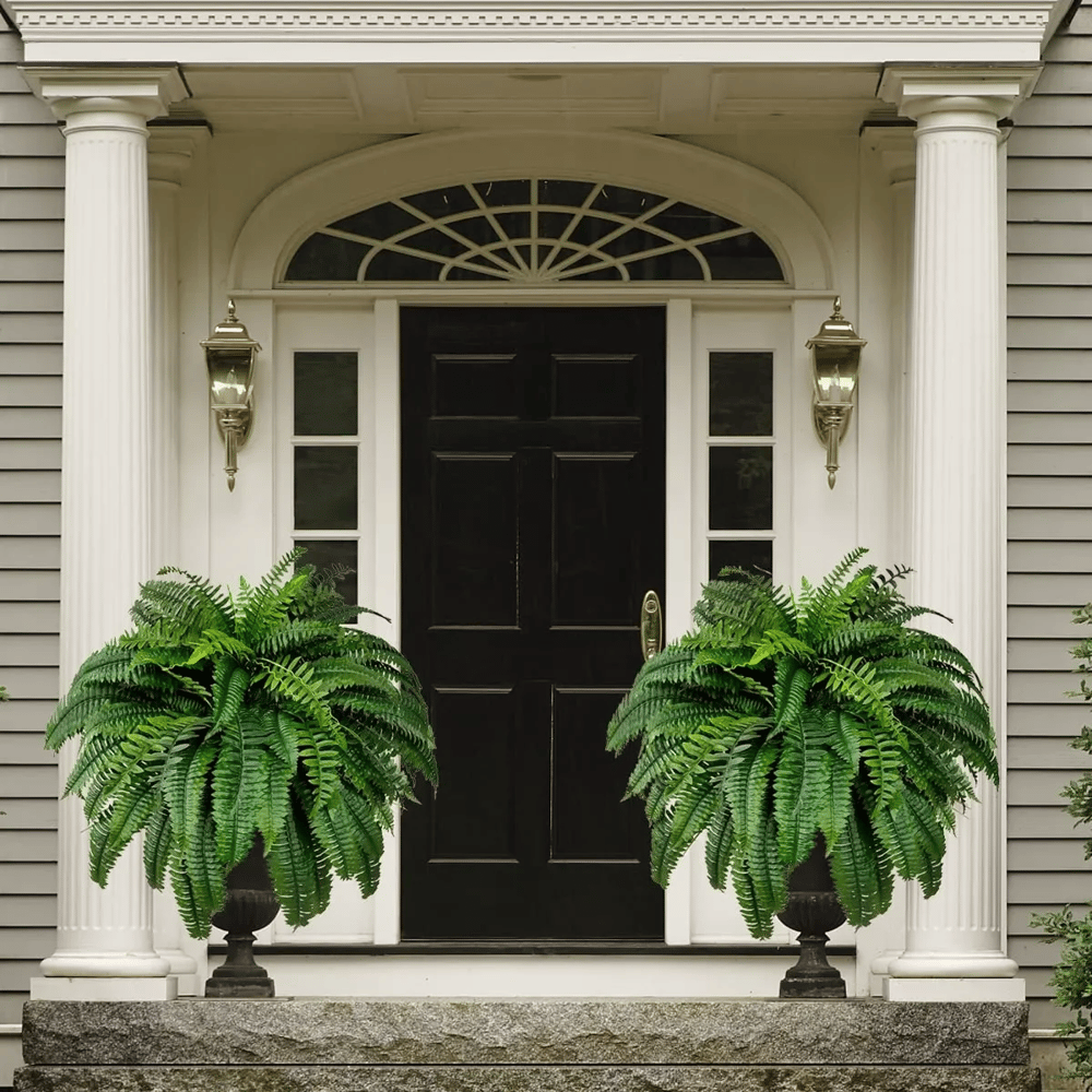 Last Day 70% OFF- Real Touch Boston Fern