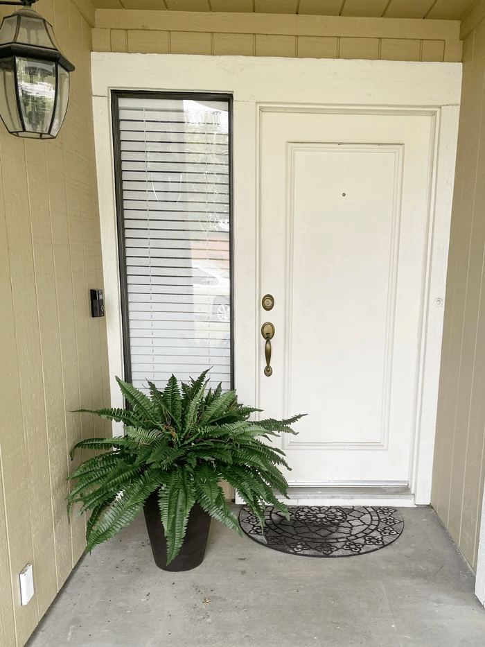 Last Day 70% OFF- Real Touch Boston Fern