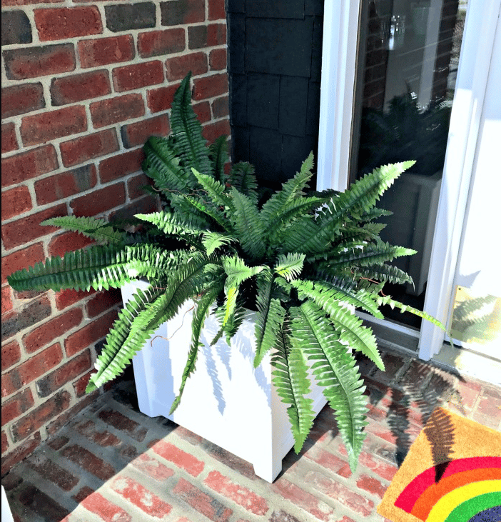 Last Day 70% OFF- Real Touch Boston Fern