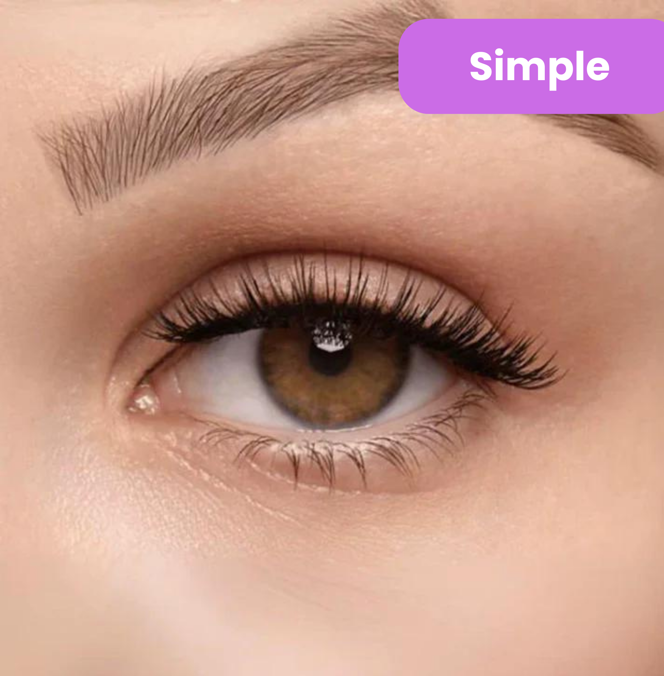 Premium Magnetic Eyelashes