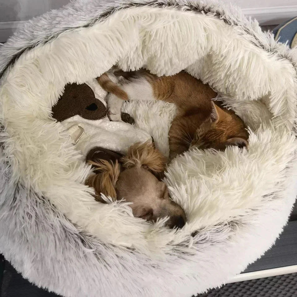 Winter Pet Bed